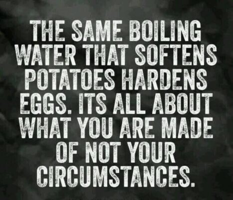 10959378_10204933675275632_3110332227694043383_n