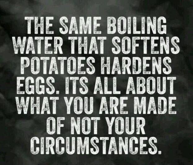 10959378_10204933675275632_3110332227694043383_n