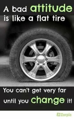 10947220_10204992090775983_540814917932957754_n