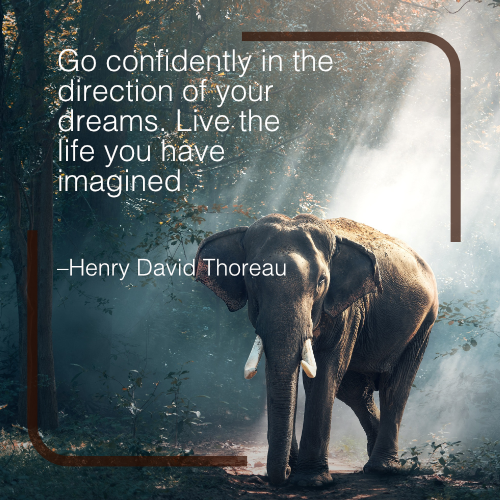 confident for dreams