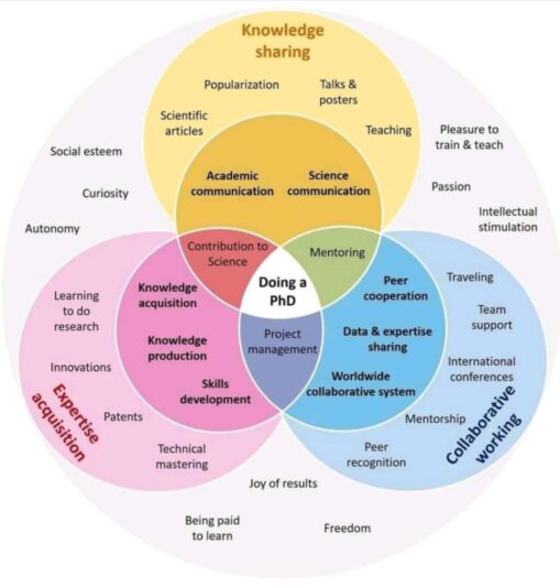 WhatsApp Image 2025-01-11 at 12.01.52 PM (1)