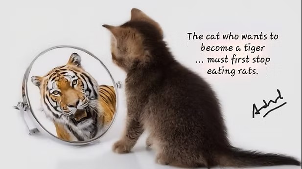 4aa51d_766e802971484a87a1f65fcbcf194496~mv2