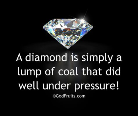 11223750_840532836040999_3220428504437148407_n