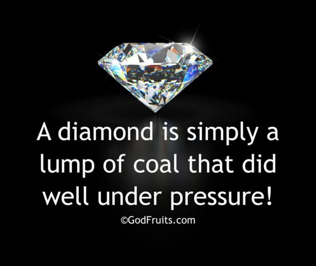 11223750_840532836040999_3220428504437148407_n