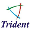 TRIDENT INFOSOL