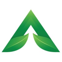 Twinleaves